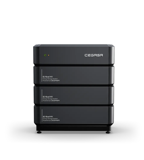 ENERFLEX C eScal HV LiFePO4 Batteriemodule *Dummy*